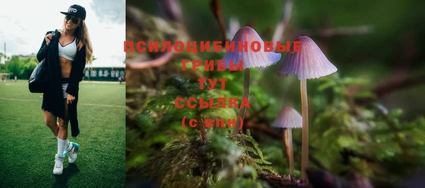кристаллы Бородино