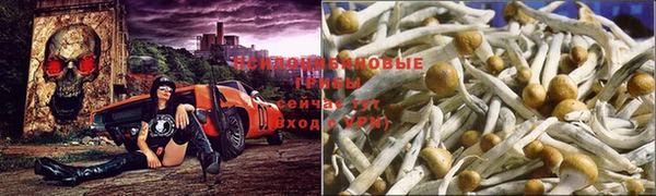 кристаллы Бородино