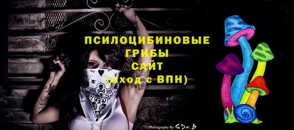 кристаллы Бородино