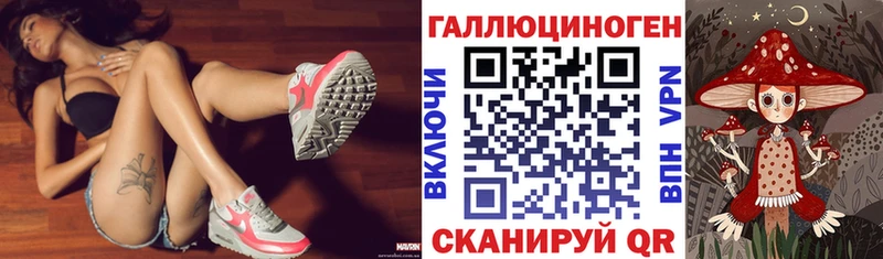 мориарти телеграм Нарткала Псилоцибиновые грибы GOLDEN TEACHER ссылка на мегу